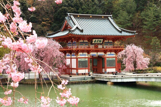 Osaka / Kyoto: Katsuoji, Arashiyama & Kinkaku-ji One Day Tour - Key Points