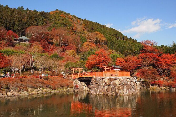 Osaka / Kyoto: Katsuoji, Arashiyama & Kinkaku-ji One Day Tour - Who Will Love This Tour?