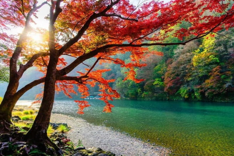 Osaka/Kyoto: Katsuoji, Kinkakuji, Arashiyama 1-Day Bus Tour - The Iconic Kinkakuji: The Golden Pavilion