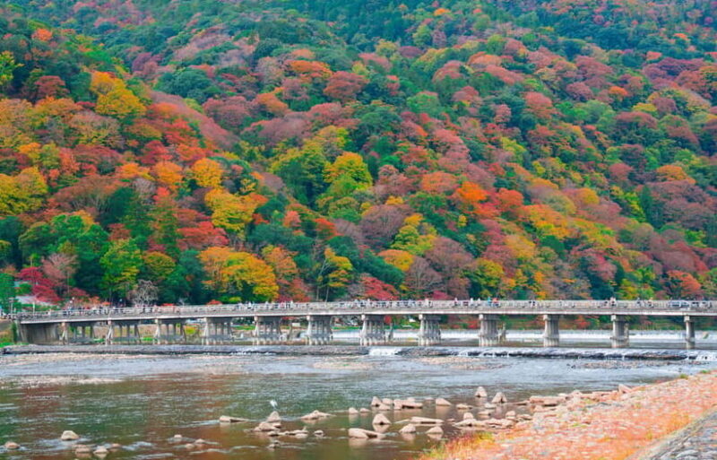 Osaka/Kyoto: Katsuoji, Kinkakuji, Arashiyama 1-Day Bus Tour - Who Should Consider This Tour?