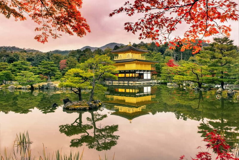 Osaka/Kyoto: Katsuoji, Kinkakuji, Arashiyama 1-Day Bus Tour - Final Thoughts
