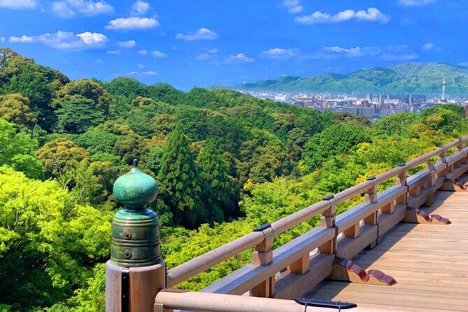Osaka / Kyoto: Kinkaku-ji, Kiyomizu-dera Temple, Sannenzaka & Uji - Final Thoughts: Who Should Consider This Tour?