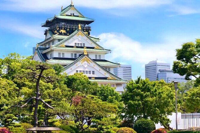 Osaka Kyoto Nara Private Transport with English Driver - Final Thoughts