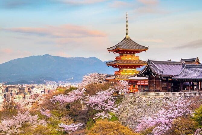 Osaka & Kyoto & Nara Top Hightlights English Speaking Tour - Exploring the Itinerary: What to Expect