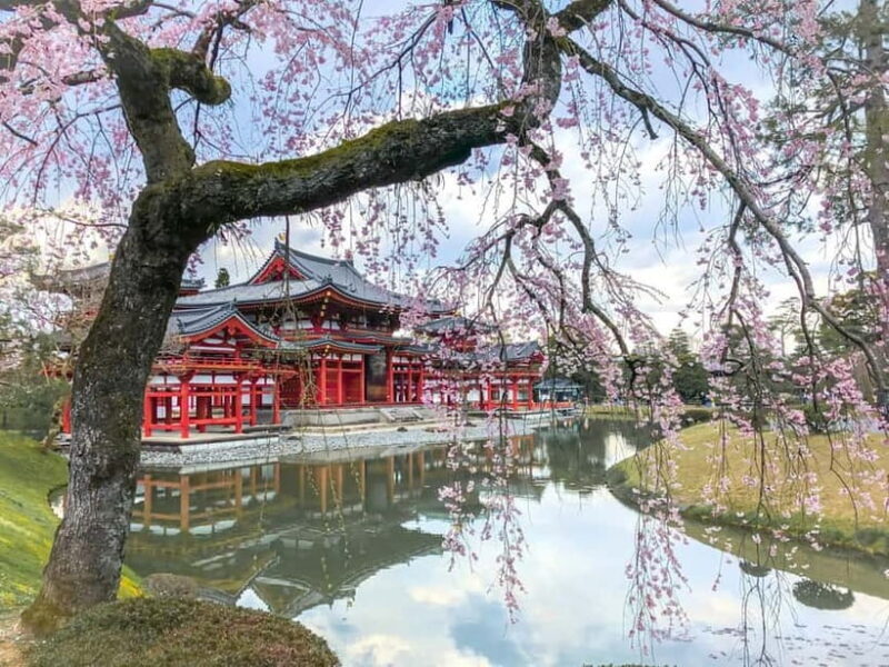 Osaka: Kyoto & Nara & Uji Historical and Scenic One-Day Tour - Key Points