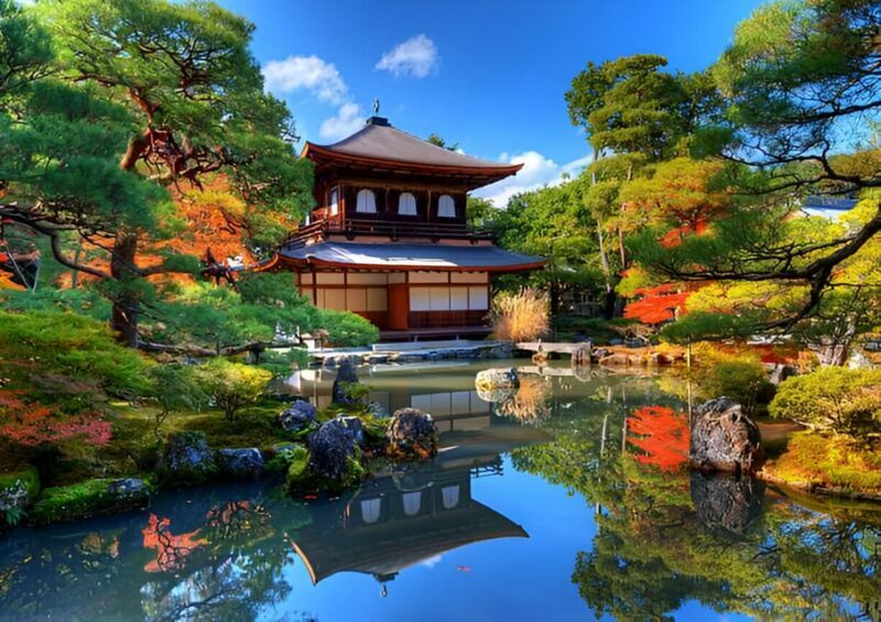 Osaka/Kyoto: Private Kyoto and Nara Day Trip - An In-Depth Look at the Experience