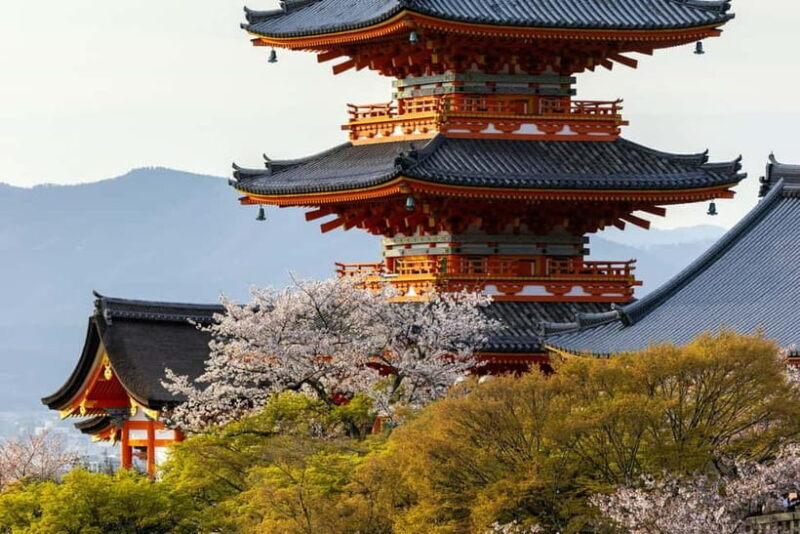 Osaka: Kyoto & Uji Historical Sites and Scenic Delights Tour - Who Will Love This Tour?