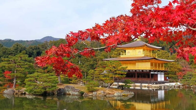 Osaka/Kyoto:Kinkakuji,Arashiyama,FushimiInariShrine,NaraPark - Key Points