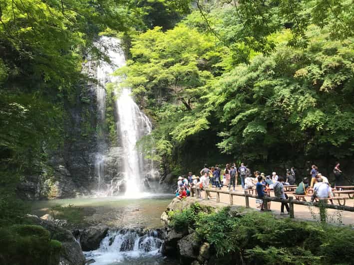 Osaka: Mino Forest Walk and Giant Waterfall with Local Lunch - Key Points