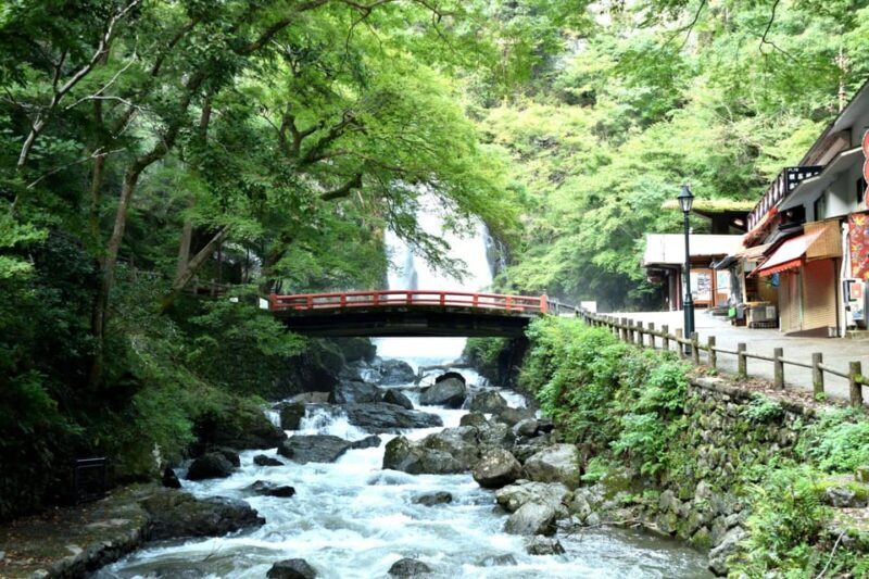 Osaka: Minoh, Katsuoji Temple, & Minoh Falls Full-day Tour - An In-Depth Look at the Tour