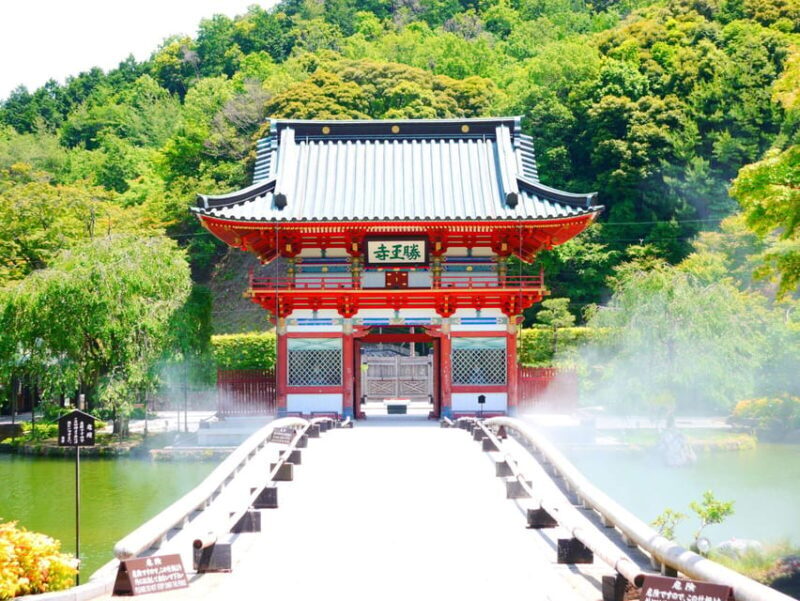 Osaka: Minoh, Katsuoji Temple, & Minoh Falls Full-day Tour - Authentic Experiences and Highlights in Review