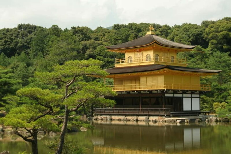 Osaka, Nara and Kyoto Day Trip with English Speaking Driver - An In-Depth Look at the Experience