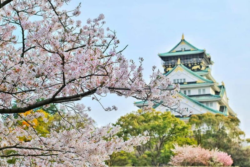 Osaka, Nara and Kyoto Day Trip with English Speaking Driver - Final Thoughts: Is This Tour Right for You?