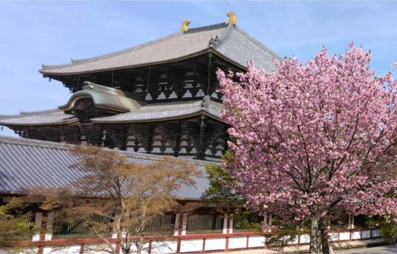 Osaka: Nara and Uji Day Trip with Deer Park and Hot Spring - An Introduction to the Tour Experience