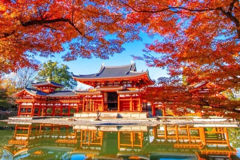 Osaka: Nara and Uji Day Trip with Deer Park and Hot Spring - Transportation and Schedule