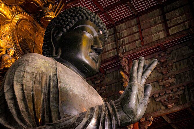 Osaka & Nara in 1-Day by Private Van with Local Japanese Guide - Exploring Osaka & Nara in One Day: A Private Van Experience