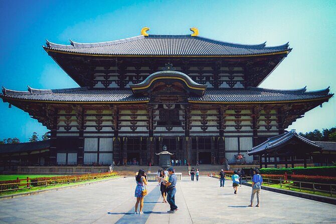 Osaka & Nara in 1-Day by Private Van with Local Japanese Guide - Key Points