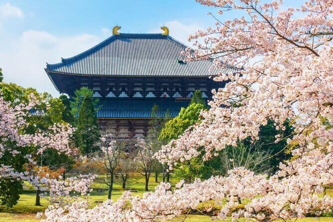 Osaka: Nara, Todaiji, Uji Matcha, and Hot Spring Tour - Nara: The Deer and the Daibutsu