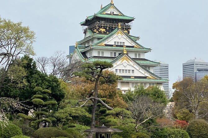 Osaka: Nara, Todaiji, Uji Matcha, and Hot Spring Tour - What Travelers Say