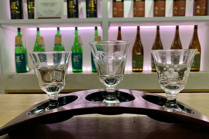 Osaka Nights: Ultimate Pub Bar Crawl with an Expert Local Guide - Who Is This Tour Best For?