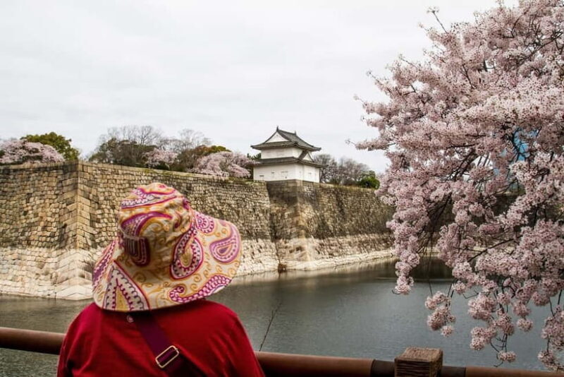 Osaka: Osaka Castle 3 hours Historical Walking Tour - A Closer Look at the Tour Experience