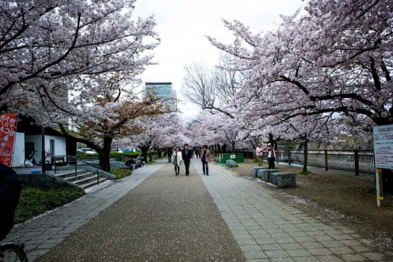 Osaka: Osaka Castle 3 hours Historical Walking Tour - The Practicalities