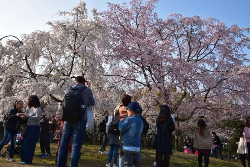 Osaka: Osaka Castle 3 hours Historical Walking Tour - Authentic Reviews from Past Travelers