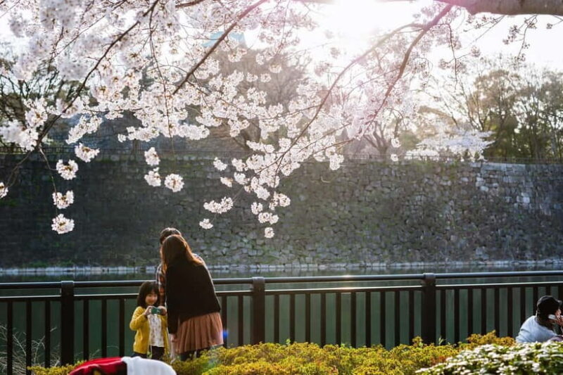 Osaka: Osaka Castle 3 hours Historical Walking Tour - FAQ