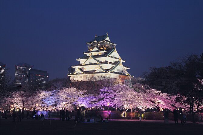 Osaka: Osaka Castle & Dotonbori Private Tour From Osaka Port - Itinerary Breakdown: What to Expect