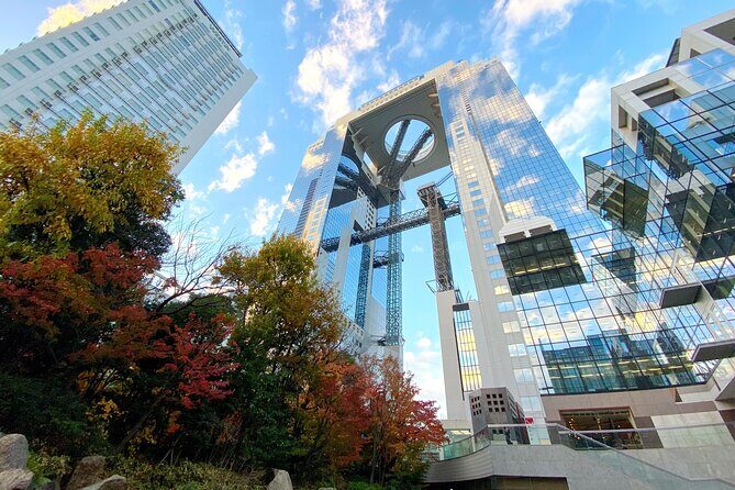 Osaka: Osaka Castle & Dotonbori Private Tour From Osaka Port - Who Will Enjoy This Tour?