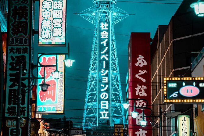 Osaka Private Car Day Trip with Hotel Pickup & English Driver - Final thoughts
