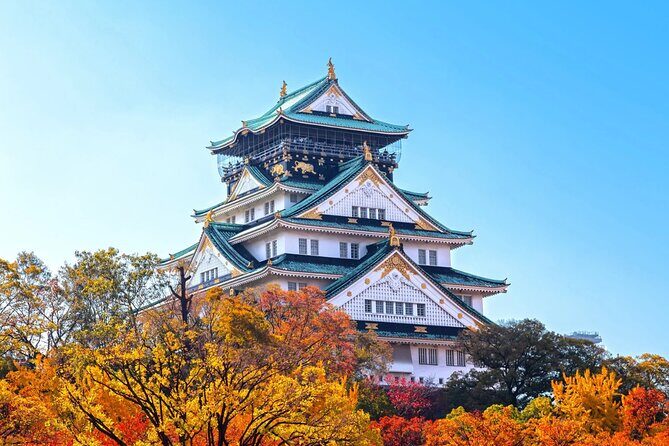 Osaka Private Custom Tour: Landmarks, Street Food & Hidden Alleys - Final Thoughts