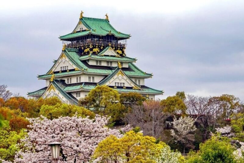 Osaka: Private Custom Walking Tour with a Local Guide - Who Should Consider This Tour?
