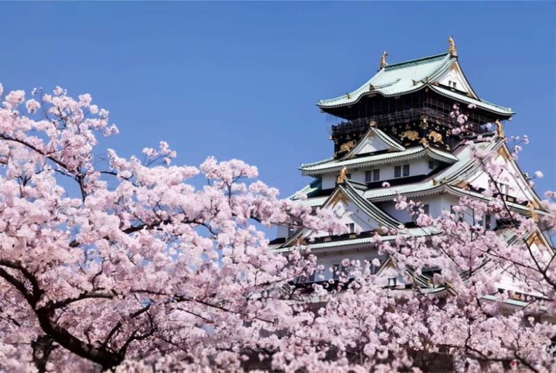 Osaka: Private Customizable Day Tour with Hotel Transfer - Key Points