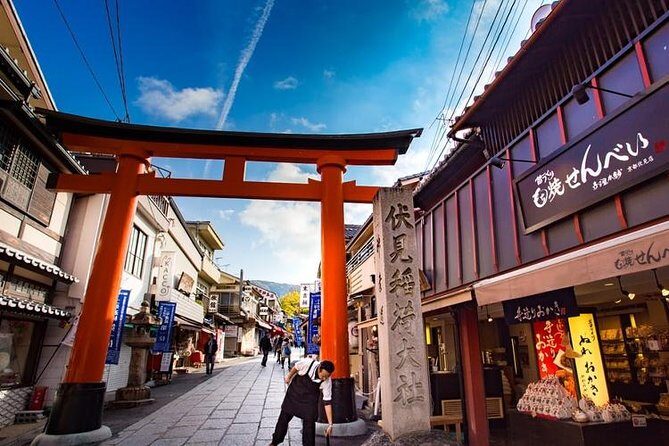 Osaka Private Customizable Half Day Tour - Who Will Love This Tour?