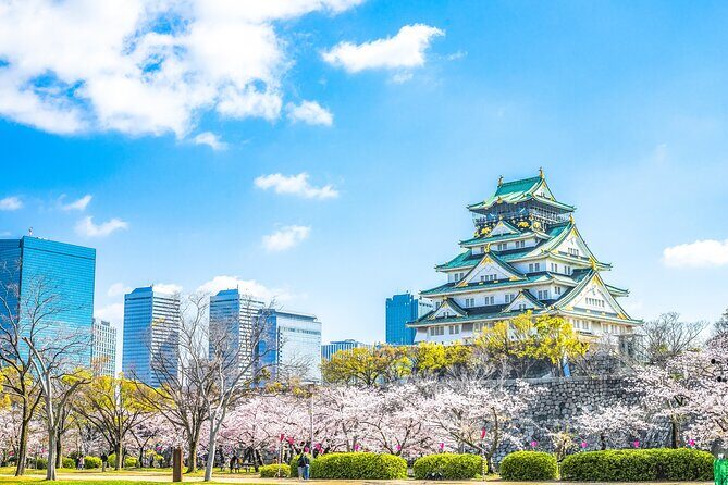 Osaka Private Day Trip - Enjoy Your First-Time Visit to Osaka! - Key Points