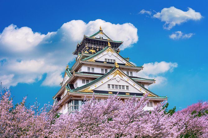 Osaka Private Food Tours by Local Foodies: 100% Personalized - Final Thoughts