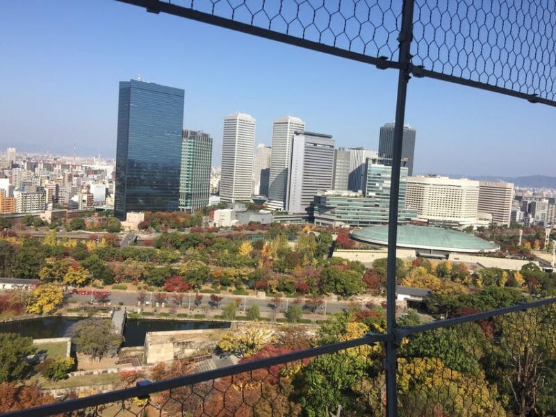 Osaka: Private Guided Day Tour of the Castle and Surroundings - Exploring Osaka’s Historic Heart in Depth