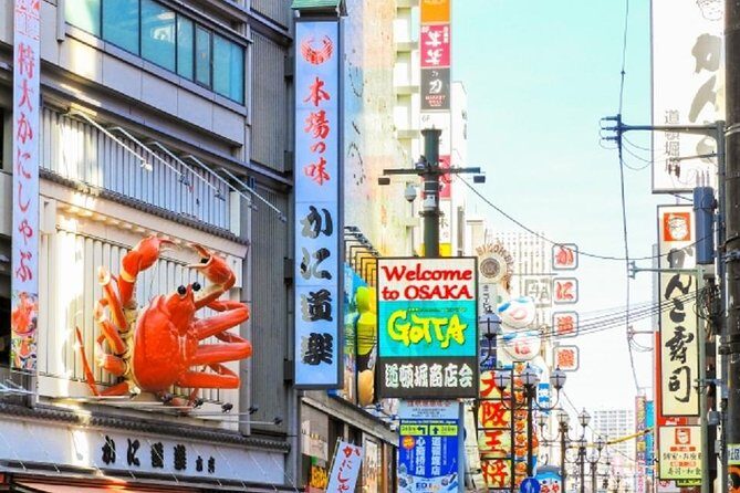 Osaka Private Tour by Public Transportation - A Detailed Look at the Osaka Private Tour