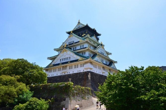 Osaka Private Tour by Public Transportation - The Sum Up