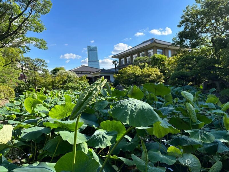 Osaka: Private Tour of Shitennoji, Osaka's Oldest Temple - Who Is This Tour Best For?