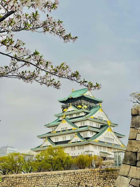 Osaka: Private Tour with English speaking Guide and pickup - Key Points