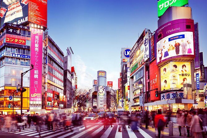 Osaka Private Transfer from Kansai International Airport (KIX) to central Osaka - What to Expect During the Transfer