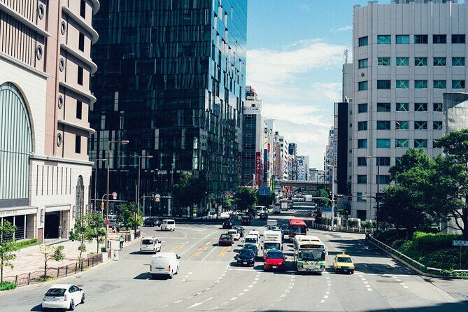 Osaka Private Walking Tour with a Local - What Travelers Say About Their Guides
