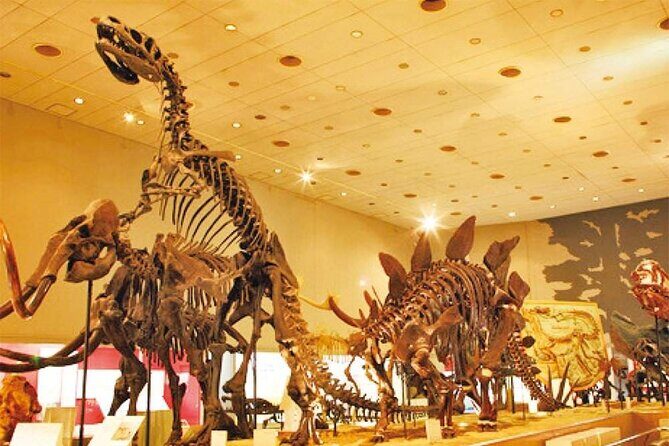 Osaka Subway and Attractions Pass - An In-Depth Look at the Osaka Subway and Attractions Pass
