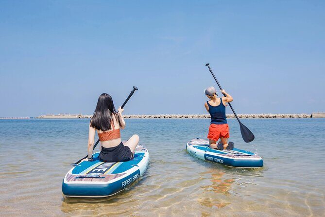 Osaka SUP Experience Near Airport with Shuttle service and Shower - Who Is This Tour Best For?
