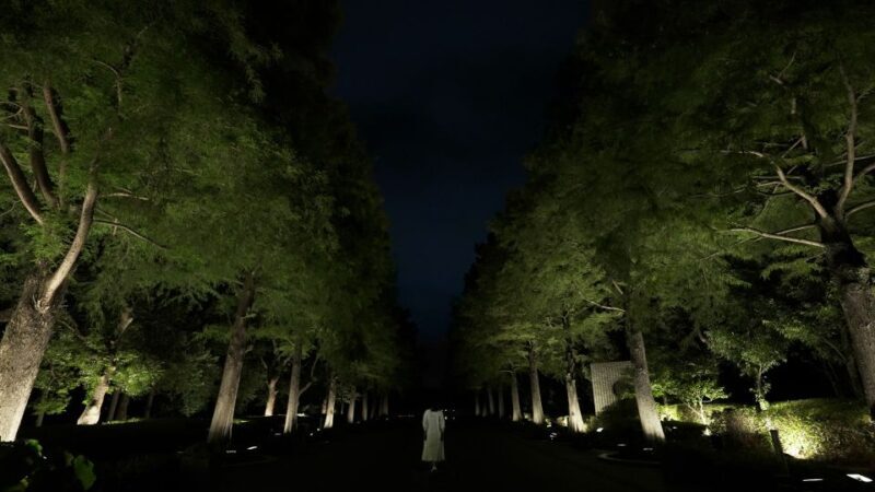 Osaka: teamLab Botanical Garden Entry Ticket - Key Points