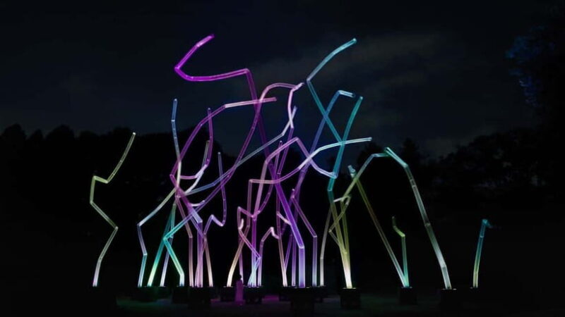 Osaka: teamLab Botanical Garden Entry Ticket - Transition to the Nighttime Spectacle