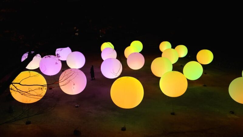 Osaka: teamLab Botanical Garden Entry Ticket - What To Expect During Your Visit