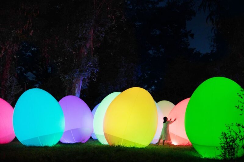Osaka: teamLab Botanical Garden Entry Ticket - The Artistic Experience and Its Impact